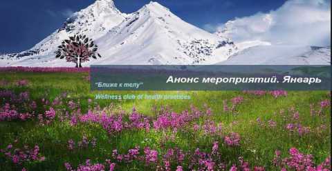 NF_article_01-anons