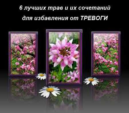 Как избавиться от тревоги. Травы в помощь - Статьи - Наследие Фрейда. Клуб психологии и развития Здоровье и тело,здоровье и тело,ближе к телу,здоровый человек,wellness club Некоторые виды трав содержат фитохимические вещества, которые помогут вам снять симптомы, связанные с тревогой и беспокойством. Травяные добавки ... 