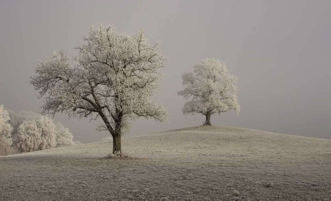 hoarfrost-g1ff2c426c_1920