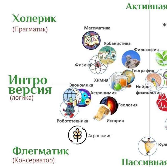Темперамент и профессия. Влияние на выбор - Психологический клуб Наследие Фрейда Типы личности,знакомства через интернет,клуб знакомств для серьезных отношений,S-теория,наука и социум,s-теория Психология для меланхолика, журналистика для сангвиника, математика для холерика, история&nbsp;для флегматика: зависит ли интерес к конкретной науке, и следственно, и выбор профессии,&nbsp;от темперамента? Да, разумеется, и для этого есть статистичес 