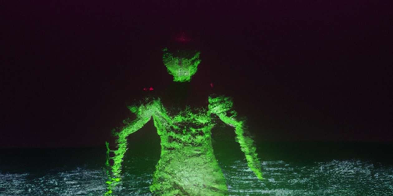 аутичные проявления