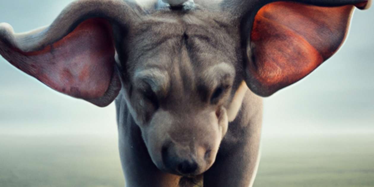 как успокоить холерика