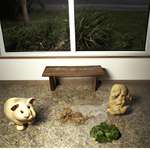 укажите какое свойство нервных процессов присуще флегматику